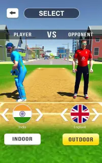 Cricket Hits Screen Shot 3