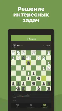 Шахматы · Играйте и учитесь Screen Shot 2