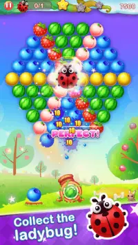 Bubble Fruit Screen Shot 11