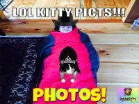 InstaKitty 3D-Virtual Cat Sim Screen Shot 9