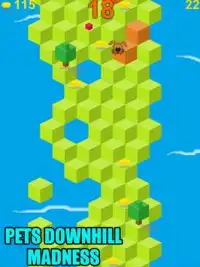 Pets Downhill Madness - Game Screen Shot 8