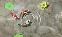 Feed the Koi fish Kids Game Screen Shot 0
