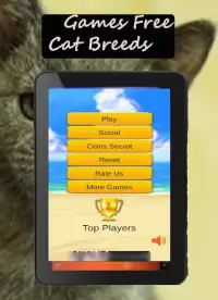 Kedi ırkları oyunu Screen Shot 10