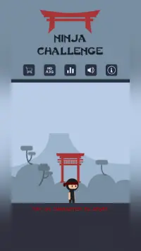 Ninja Challenge Screen Shot 0