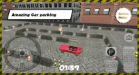 City Roadster Car Parking Screen Shot 8