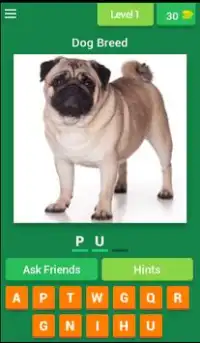 Popular Dog Breeds Quiz Screen Shot 0