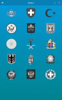 Vlaggen van de wereld en emblemen: Raad het land Screen Shot 10