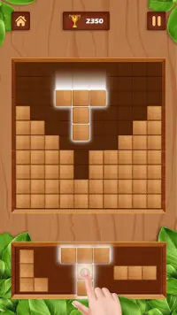 Wood Block Game : Wooden block puzzle solve Screen Shot 2