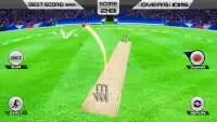 विकेट हिट क्रिकेट गेम Screen Shot 0