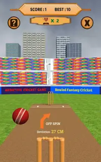 Bowled 3D - Cricket Game Screen Shot 10