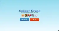 Animal Crush Screen Shot 0