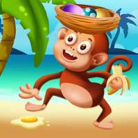 Monkey's Challenge