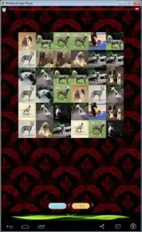 Chinese Crested Game Screen Shot 1
