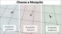 The Life Cycle of Malaria Screen Shot 0