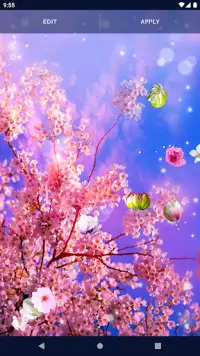 Cherry Blossom Live Wallpaper Screen Shot 4