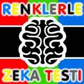 Renklerle Zeka Testi Oyunu