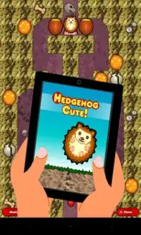 Hedgehog Cute (free with ads) Screen Shot 0