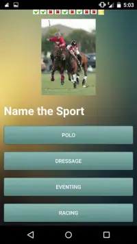 Horse Challenge Screen Shot 3