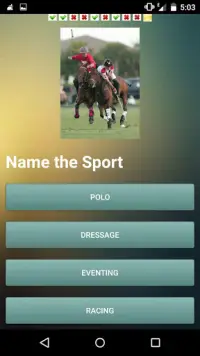 cavalo Desafio Screen Shot 3