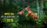 White Tail Deer Hunting 2016 Screen Shot 4