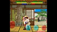 Martial Arts fighters Screen Shot 1