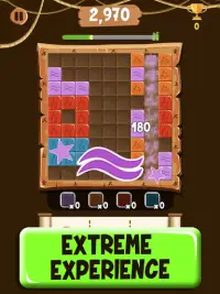 Block Puzzle Extreme Screen Shot 9