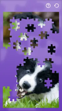 Jigsaw Puzzles Dogs Screen Shot 3