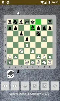 chess openings Screen Shot 1