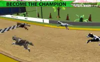 Real Dog Racing Championship Screen Shot 3