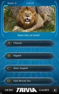 Name that Cat Breed Trivia Screen Shot 1