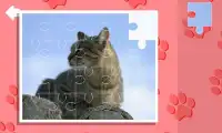 Jigsaw puzzles. Cats Screen Shot 2