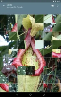 Jigsaw Puzzle: Flowers Screen Shot 14