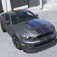 Race Driver Ford Mustang
