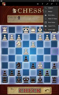 Échecs (Chess) Screen Shot 23