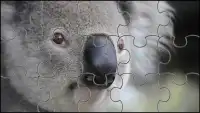 Koala Câu Đố Ghép Hình Con Gấu Screen Shot 6