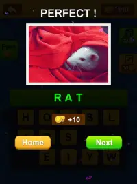Guess Missing Words - Brain training game app-ATTU Screen Shot 4