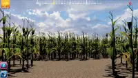 Walla Walla Corn Maze Year 1 (WWCM1) Screen Shot 1