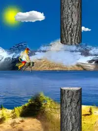 Flappy Bear 3D Screen Shot 5