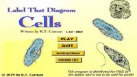 Label that Diagram - Cells Screen Shot 4