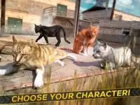 3D Cat Simulator Game For Free Screen Shot 7
