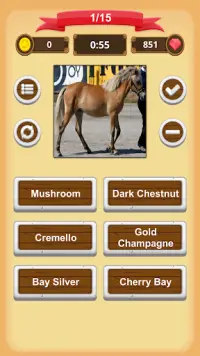 Horse Coat Colors Quiz Screen Shot 1