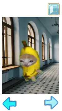 Banana Cat Screen Shot 2