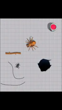 Doodle Bug Escape 3D Screen Shot 0