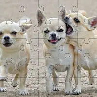 Chihuahua-Hundepuzzle-Spiele Screen Shot 7