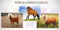 Pony Puzzles: Pony and Horse Jigsaw Puzzles Screen Shot 3