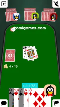 Crazy Eights Online Screen Shot 2