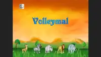 Volleymal jogo de Vôlei Screen Shot 4