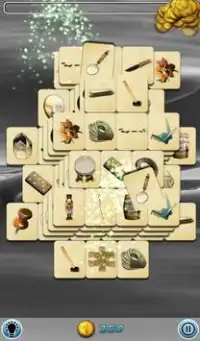 Verstecktes Mahjong: Dolphins Screen Shot 1