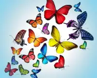 Butterfly Jigsaw Puzzles Game Screen Shot 4