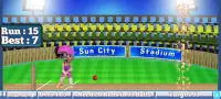 Rudra Cricket Game Screen Shot 5